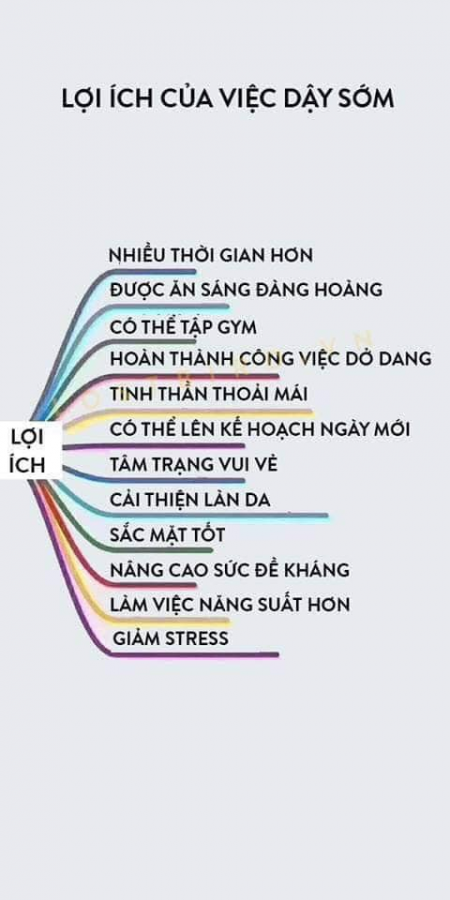 Lợi ích của việc dậy sớm