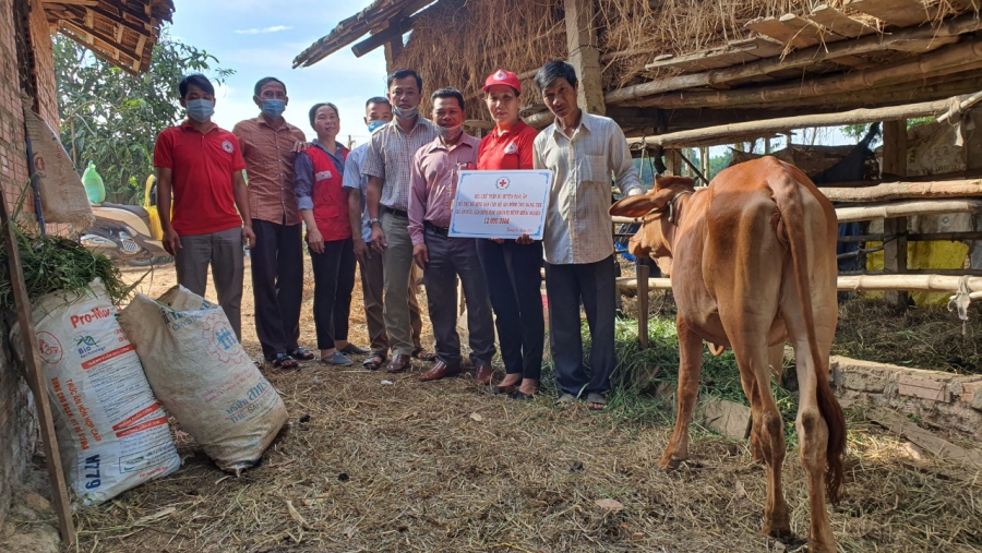 Bà Ngô Thị Kim Anh - Chủ tịch Hội CTĐ huyện Hoài Ân (thứ 2, bên phải sang) trao tặng bảng tượng trưng cùng 01 con bò sinh sản cho hộ ông Đặng Thu