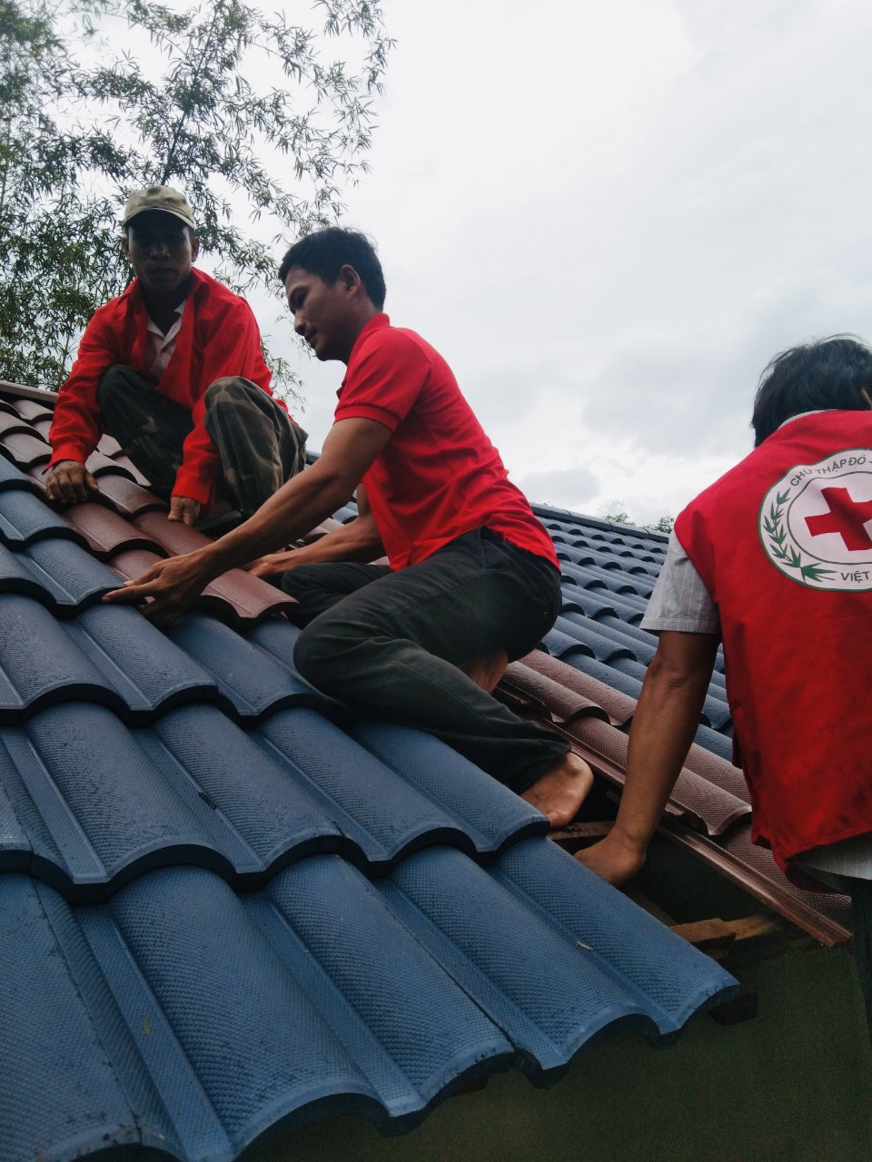 Tình nguyện viên Hội CTĐ xã An Dũng, huyện An Lão đang hỗ trợ lợp lại mái ngói cho nhà dân bị thiệt hại do bão số 4 gây ra tối qua