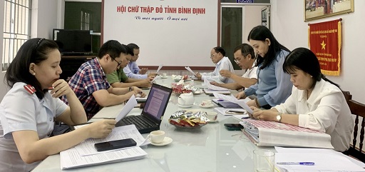 Kiểm tra công tác vận động phi chính phủ nước ngoài tại Hội CTĐ tỉnh